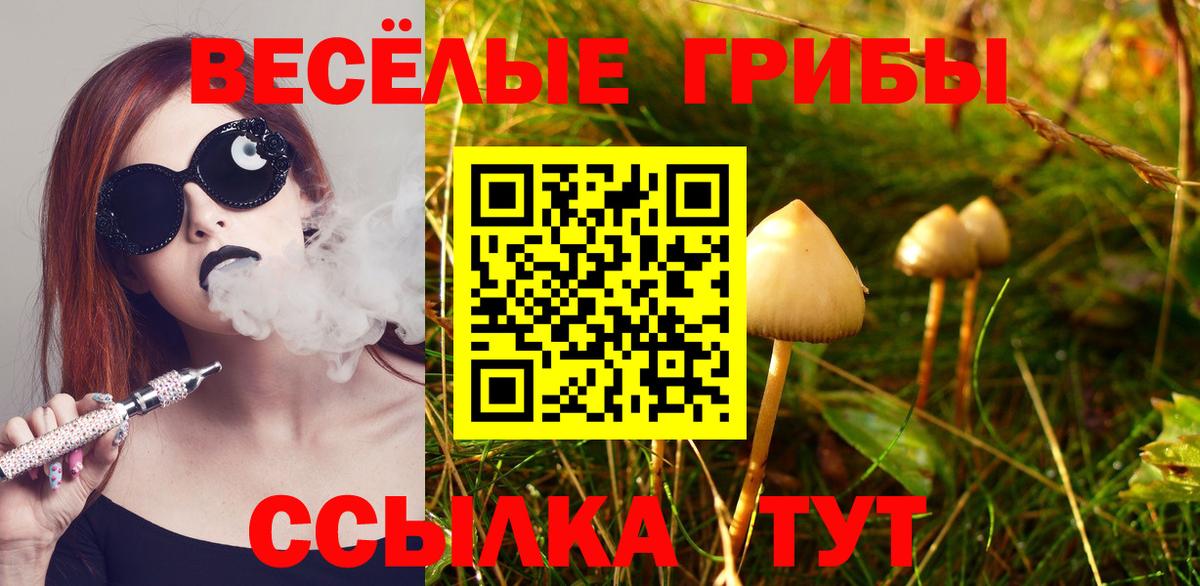 Псилоцибиновые грибы GOLDEN TEACHER  Галлюциногенные грибы Psilocybine cubensis  Вход с VPN  Чебаркуль 